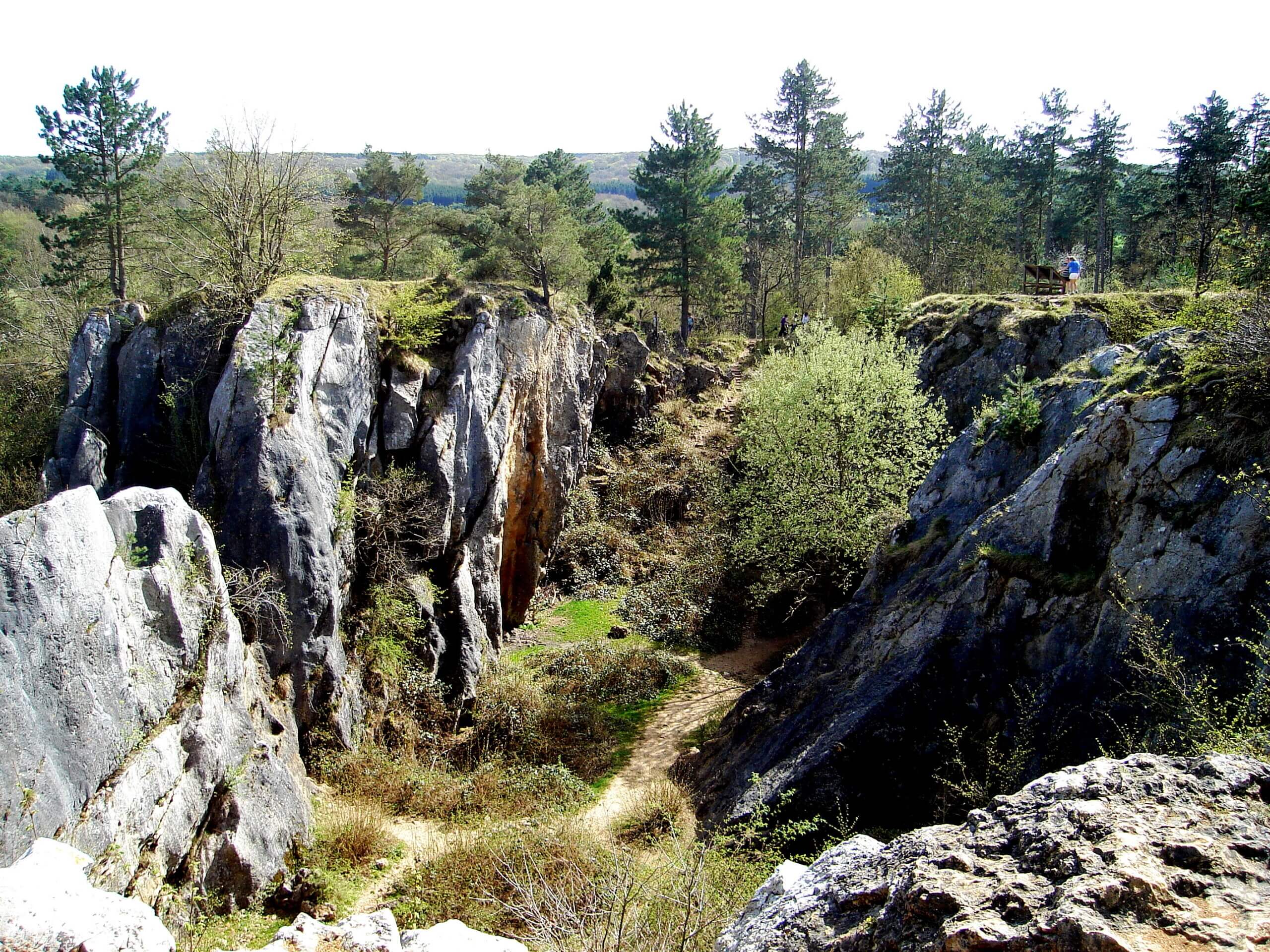 Het licht gaat uit voor de natuur in Belgisch nationaal park