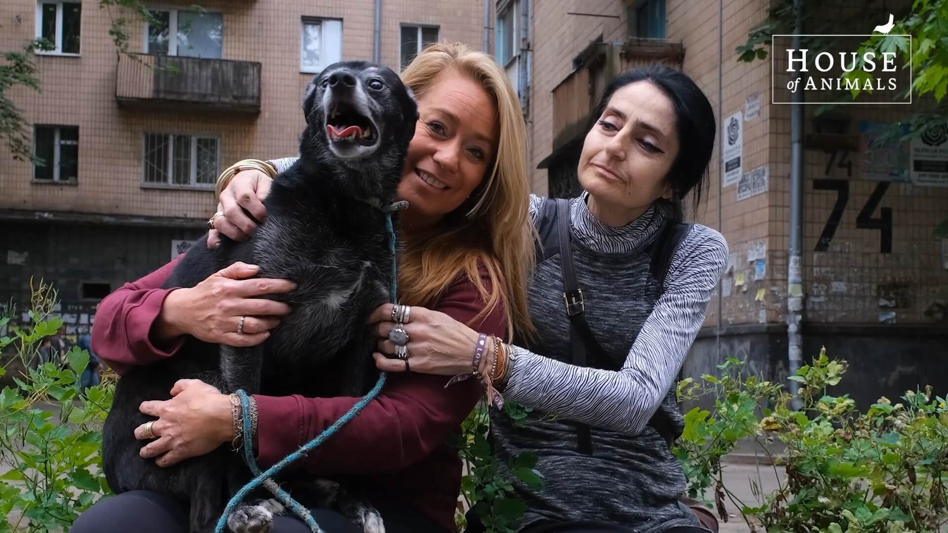 Vier jaar noodhulp in Oekraïne: Angel’s aangrijpende verhaal