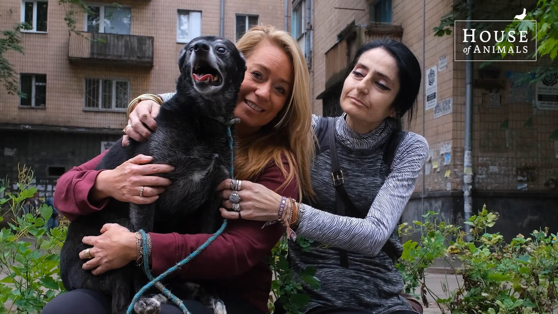 Vier jaar noodhulp in Oekraïne: Angel’s aangrijpende verhaal