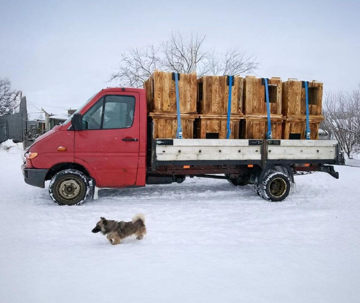 House of Animals bouwt verder aan hondendorp in Oekraïne