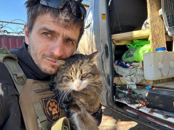 Katten redden uit het oorlogsgebied in Oekraïne