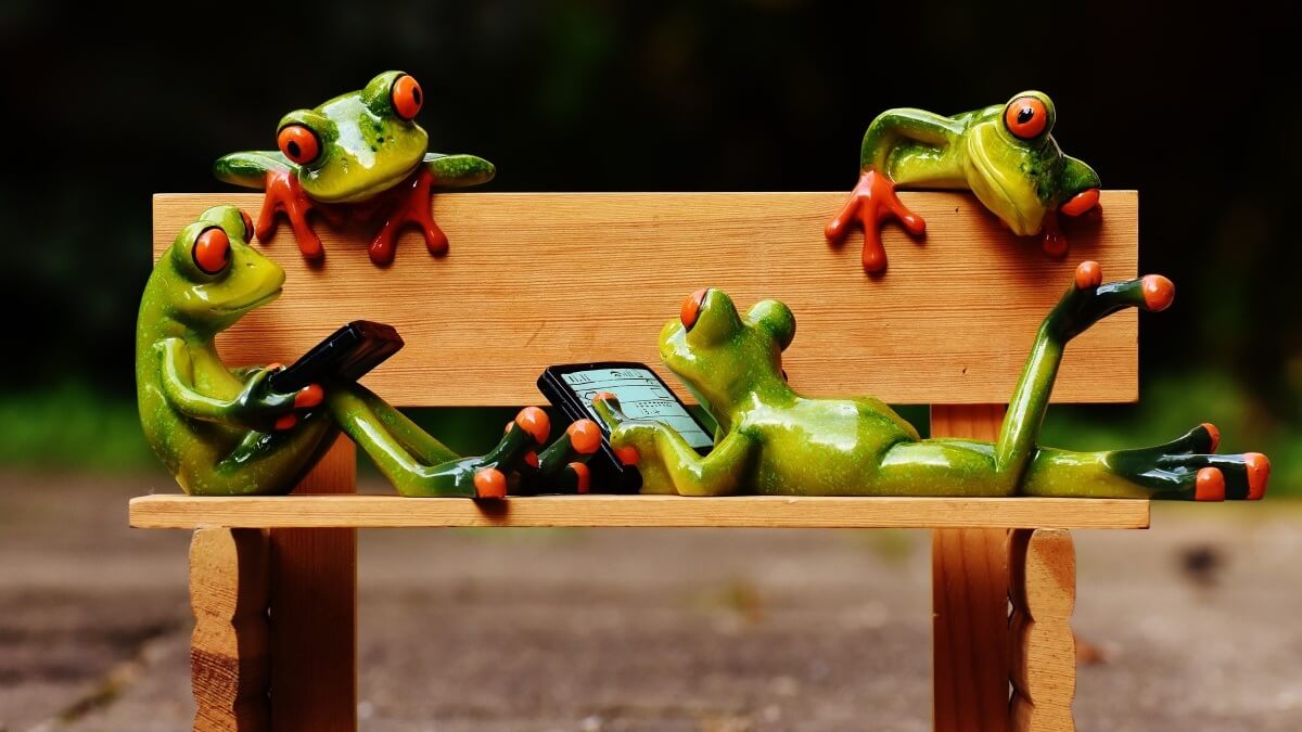 Moderatoren voor Facebook House of Animals gezocht