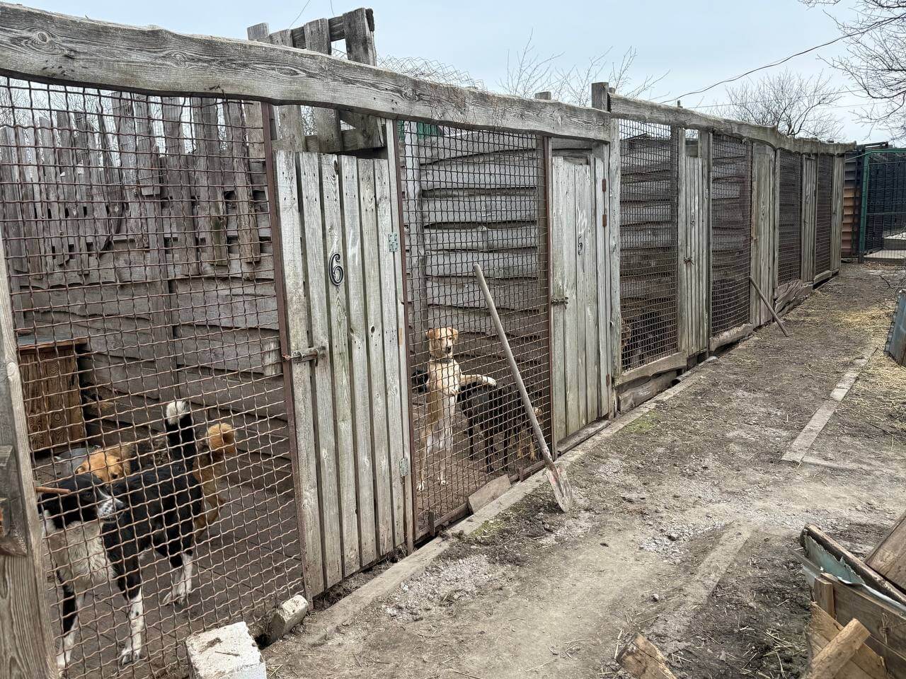 De oude hondenverblijven bij Pegasus zullen gesloopt worden om plaatsen te maken voor nieuwe