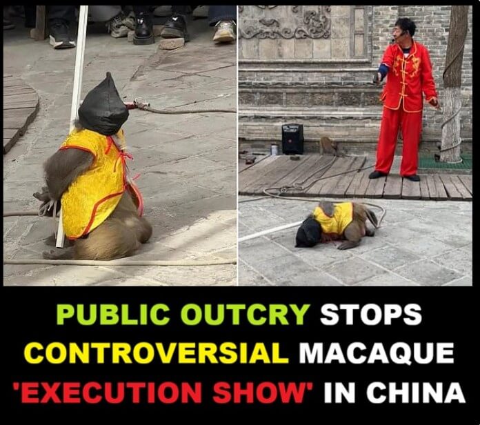 executieshow