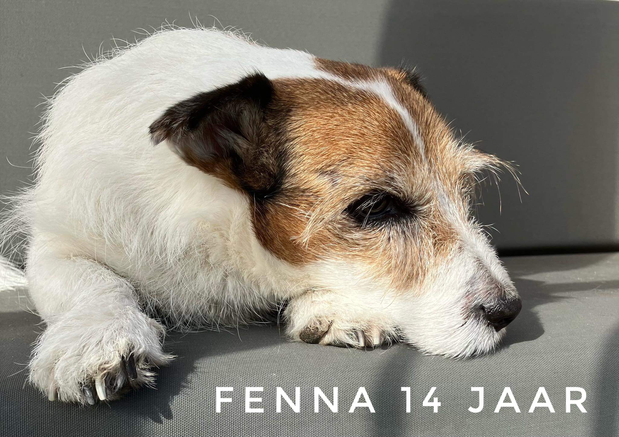 Gefeliciteerd Fenna met je 14de verjaardag! 