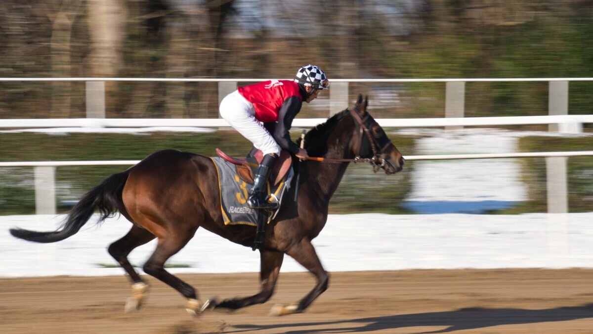 Gold Dancer en Get On George afgemaakt na Grand National