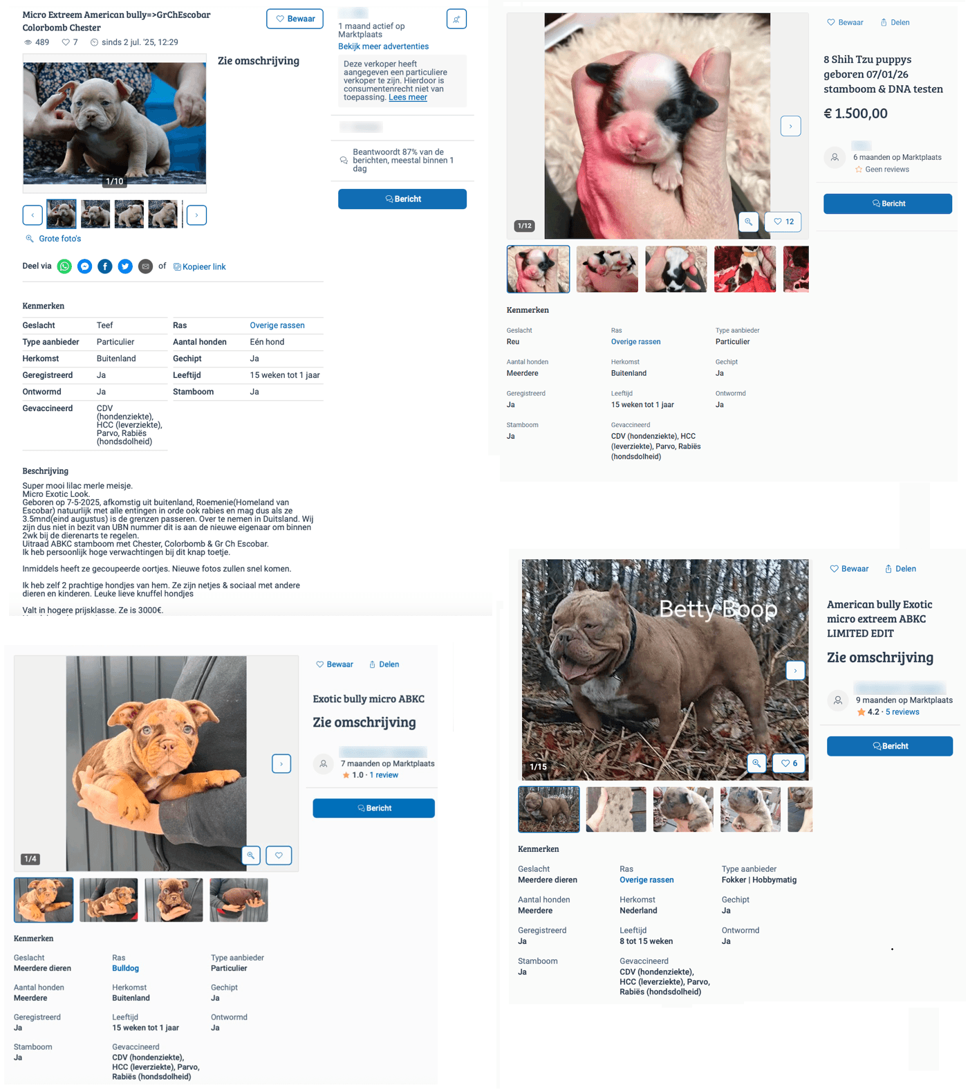 Advertenties op Marktplaats