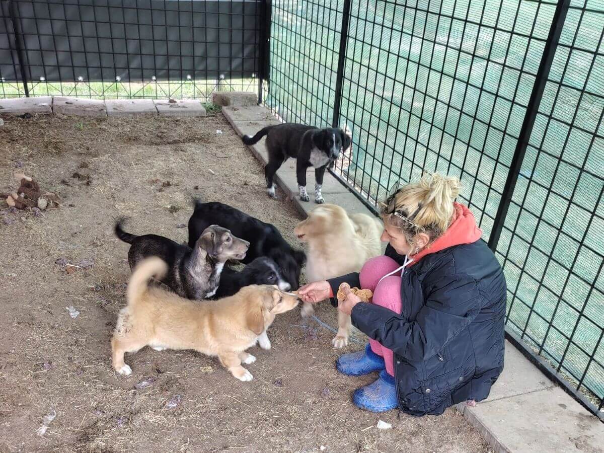 Sonia Costas en enkele dieren die ze in haar opvang verzorgt