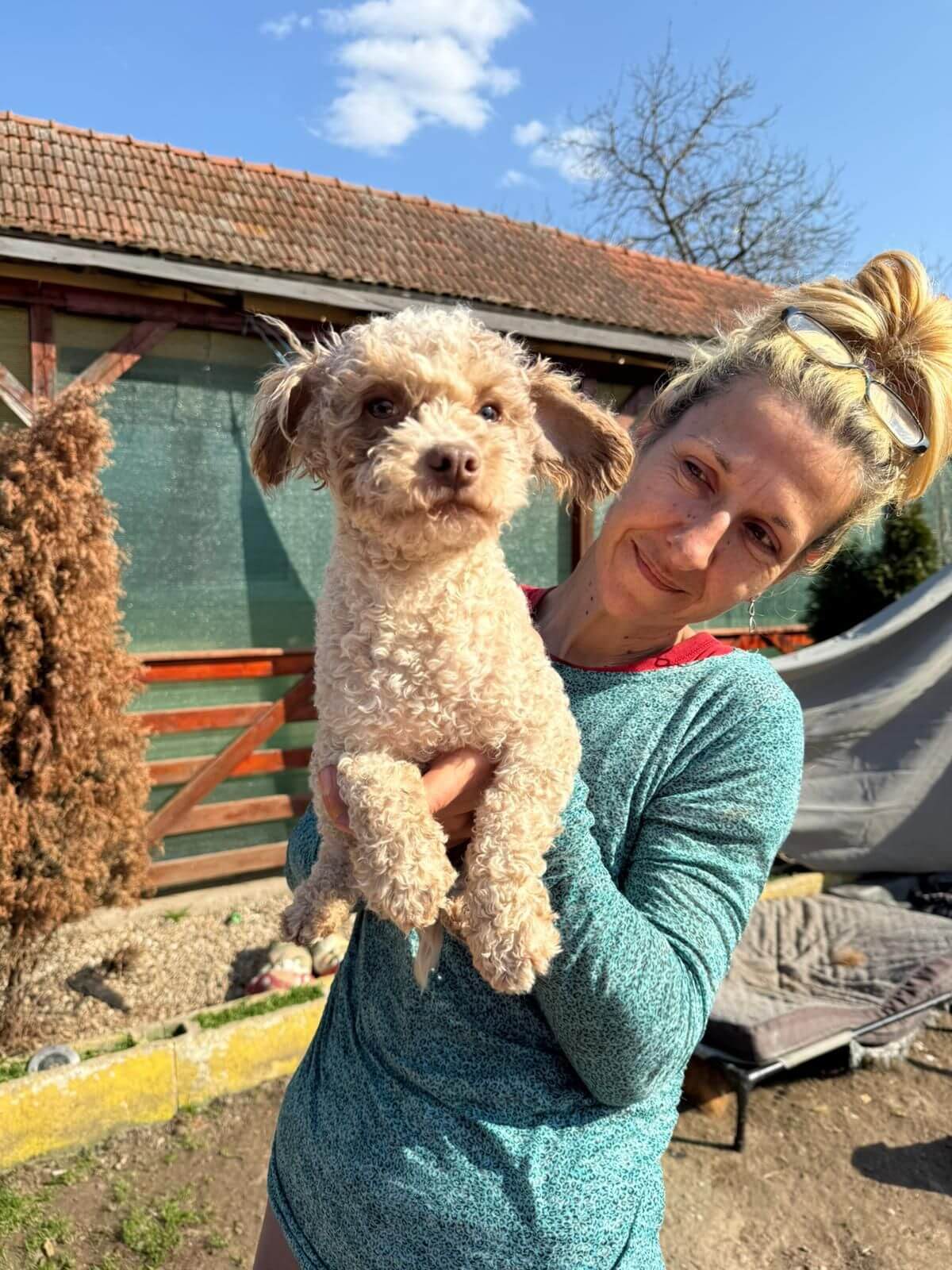 Sonia Costas houdt een hondje vast in haar opvang 