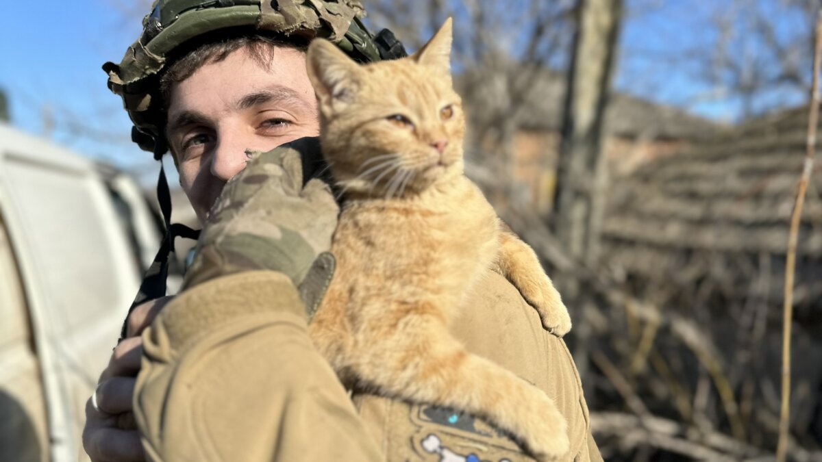 Lentekriebels in oorlogstijd: sterilisatiecampagne van start