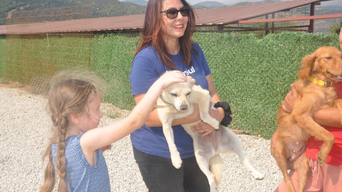 Turkse kinderen leren zorg te dragen voor zwerfdieren