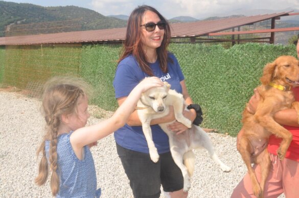Turkse kinderen leren zorg te dragen voor zwerfdieren
