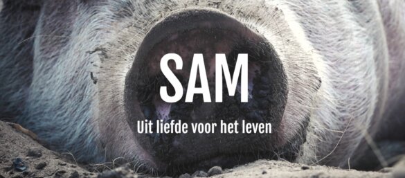 SAM op YouTube House of Animals - Animal Crime Unit