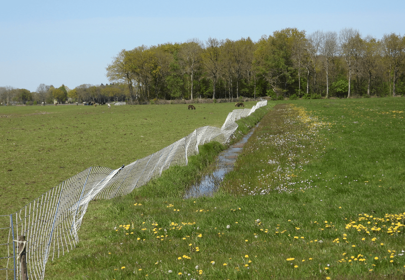 slechte bescherming tegen wolven
