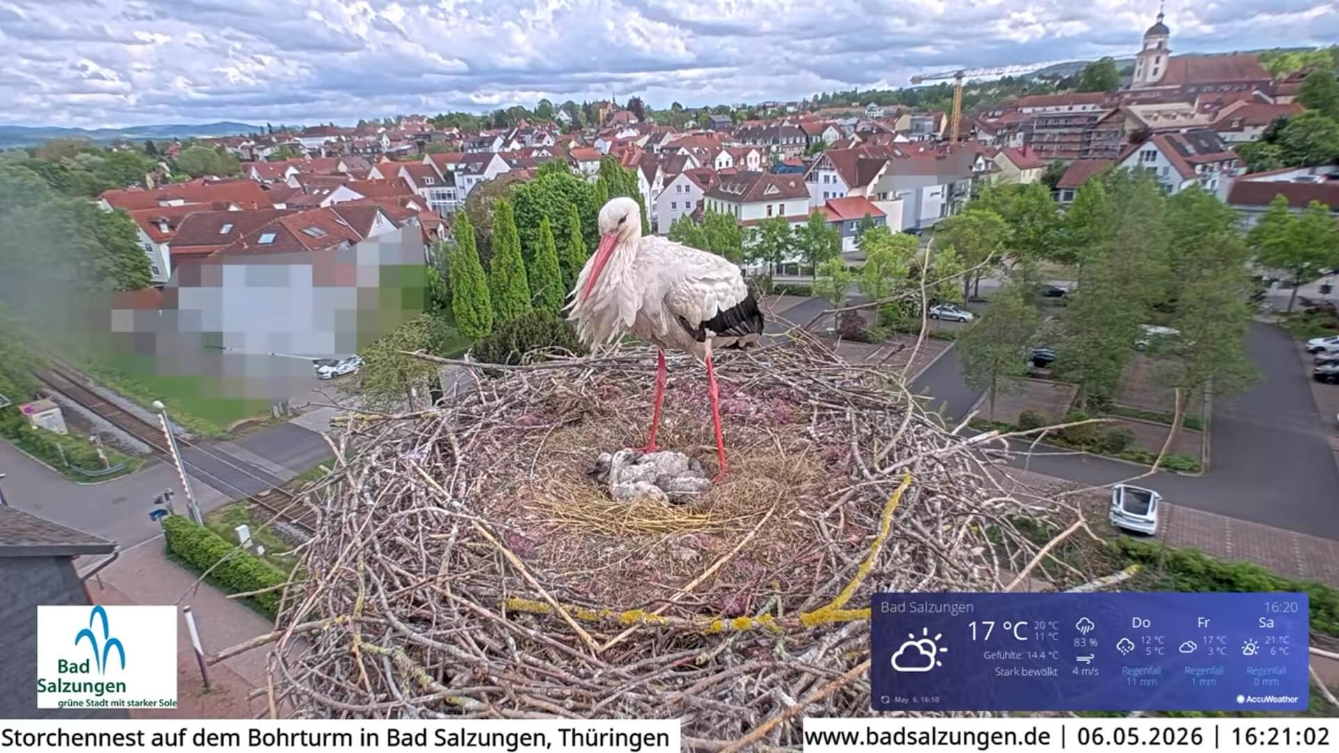 Kijk eens naar het vogeltje