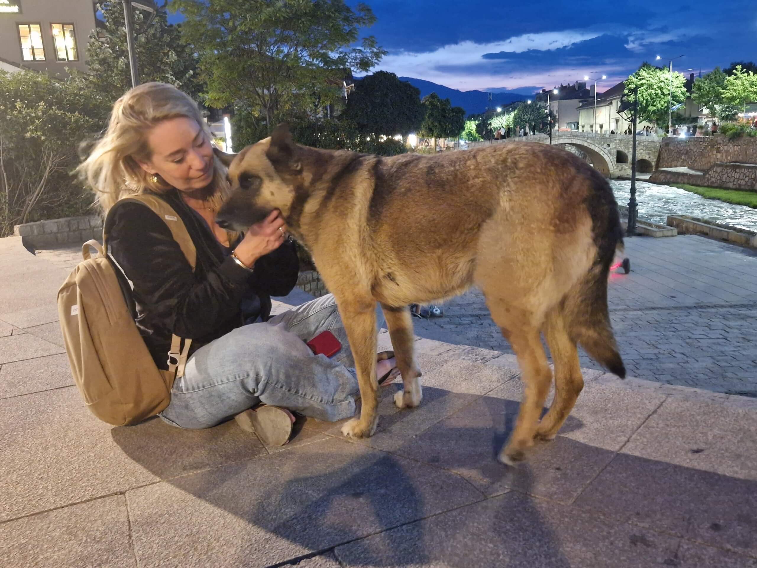 Karen Soeters met straathond in centrum Prizren Kosovo