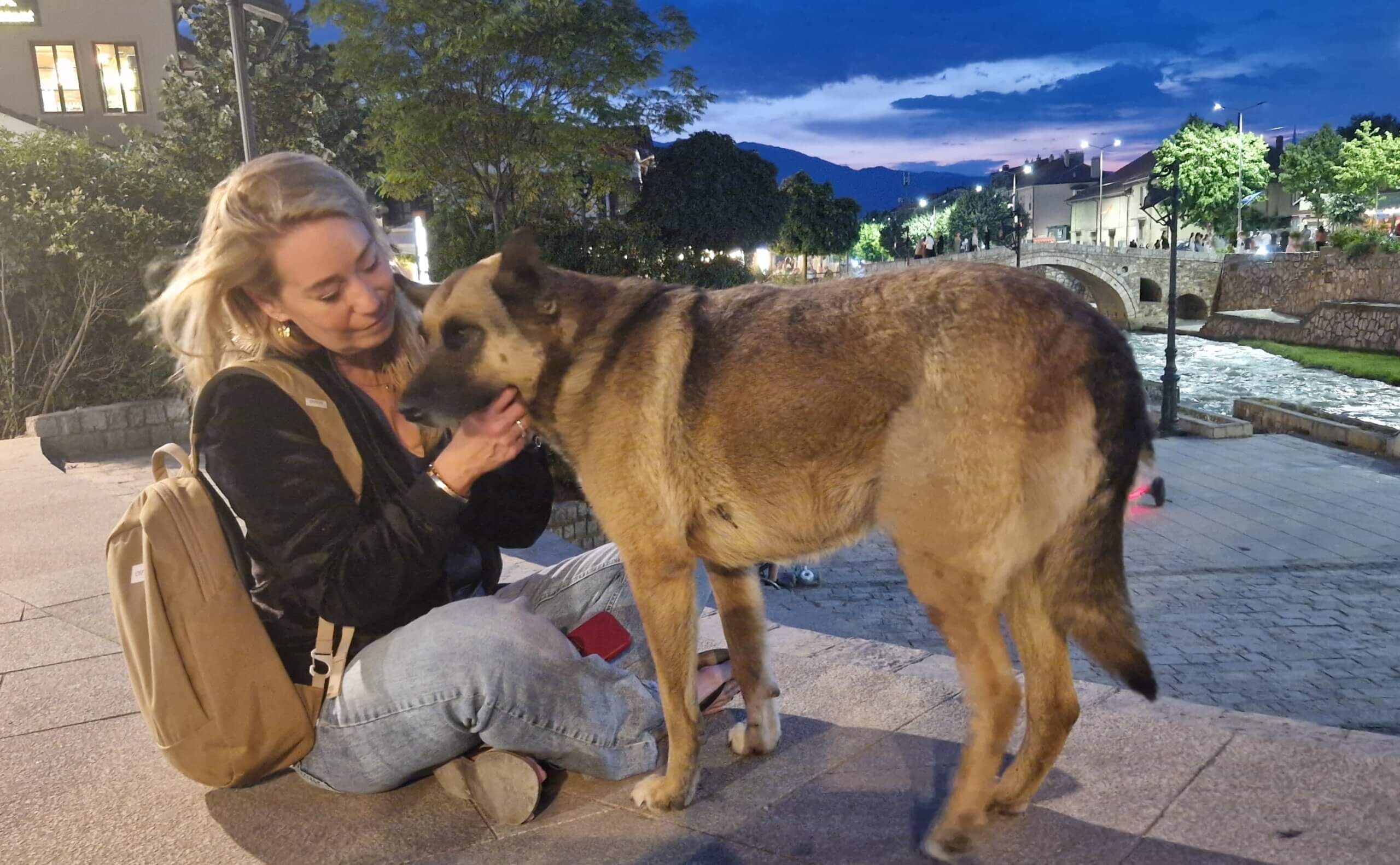 Karen in Kosovo: De straathonden van Prizren
