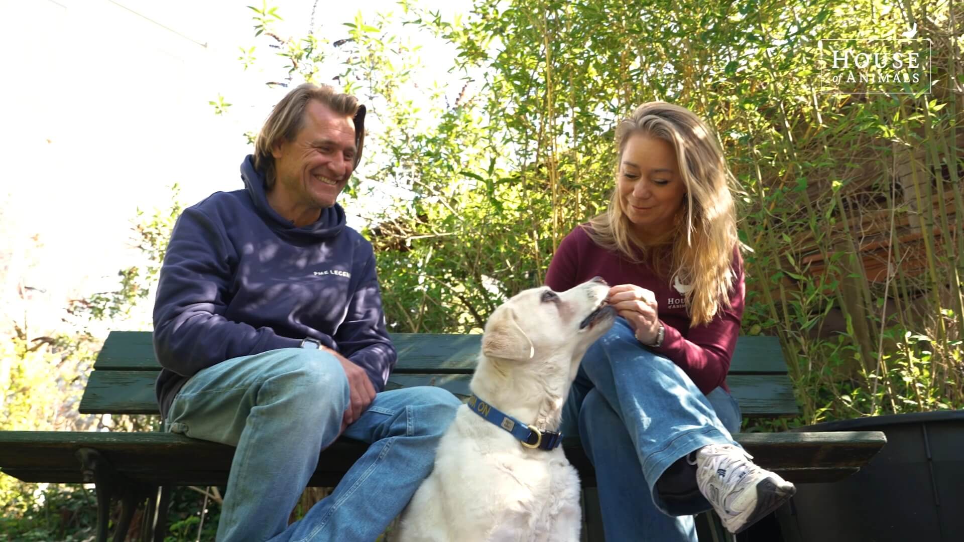 Karen Soeters en Piet Hellemans over euthanasie bij huisdieren