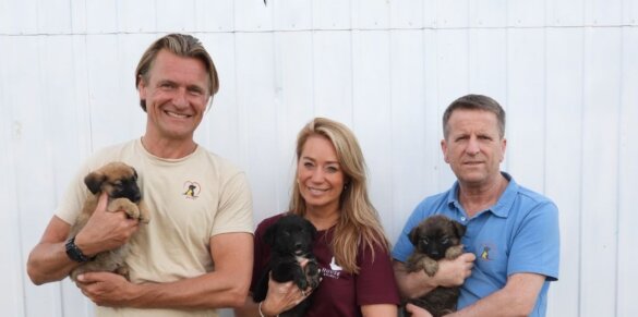Interview: het is een hel voor zwerfdieren in Kosovo | Foto: House of Animals