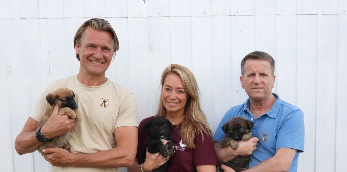 Interview: het is een hel voor zwerfdieren in Kosovo | Foto: House of Animals