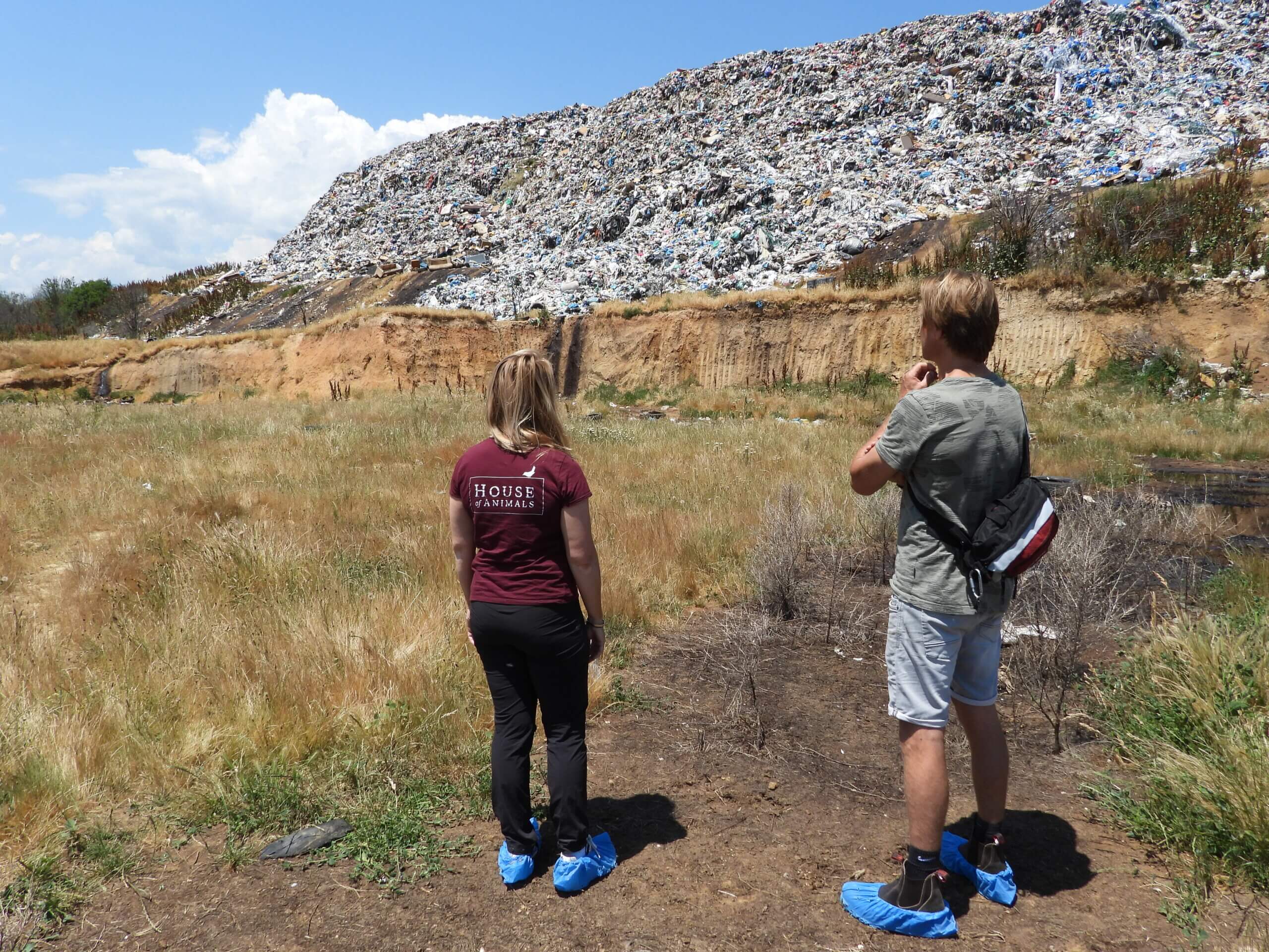 Karen Soeters en Piet Hellemans kijken naar het vuilnisbelt in Peja. Hier leven zo'n 1500 zwerfhonden