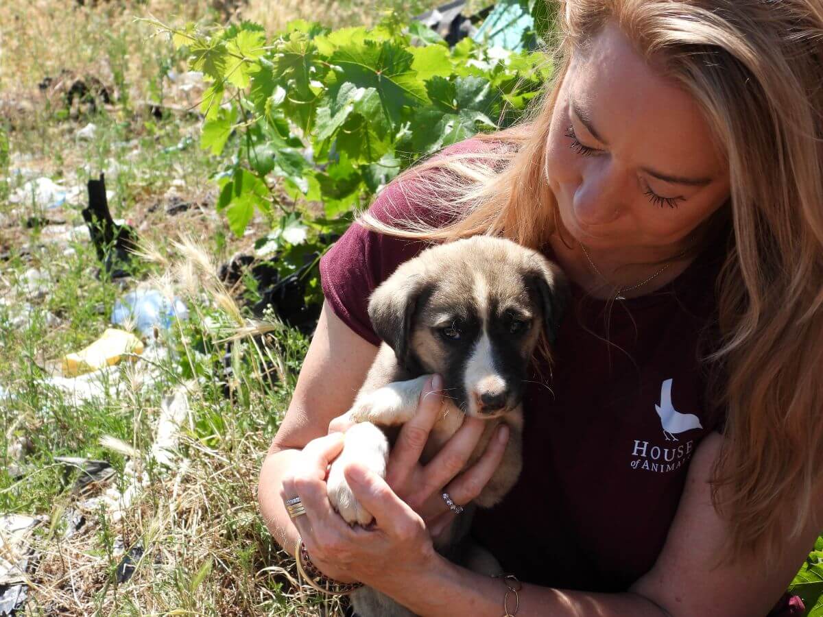 Karen Soeters houdt een puppy vast bij het vuilnisbelt in Peja, Kosovo