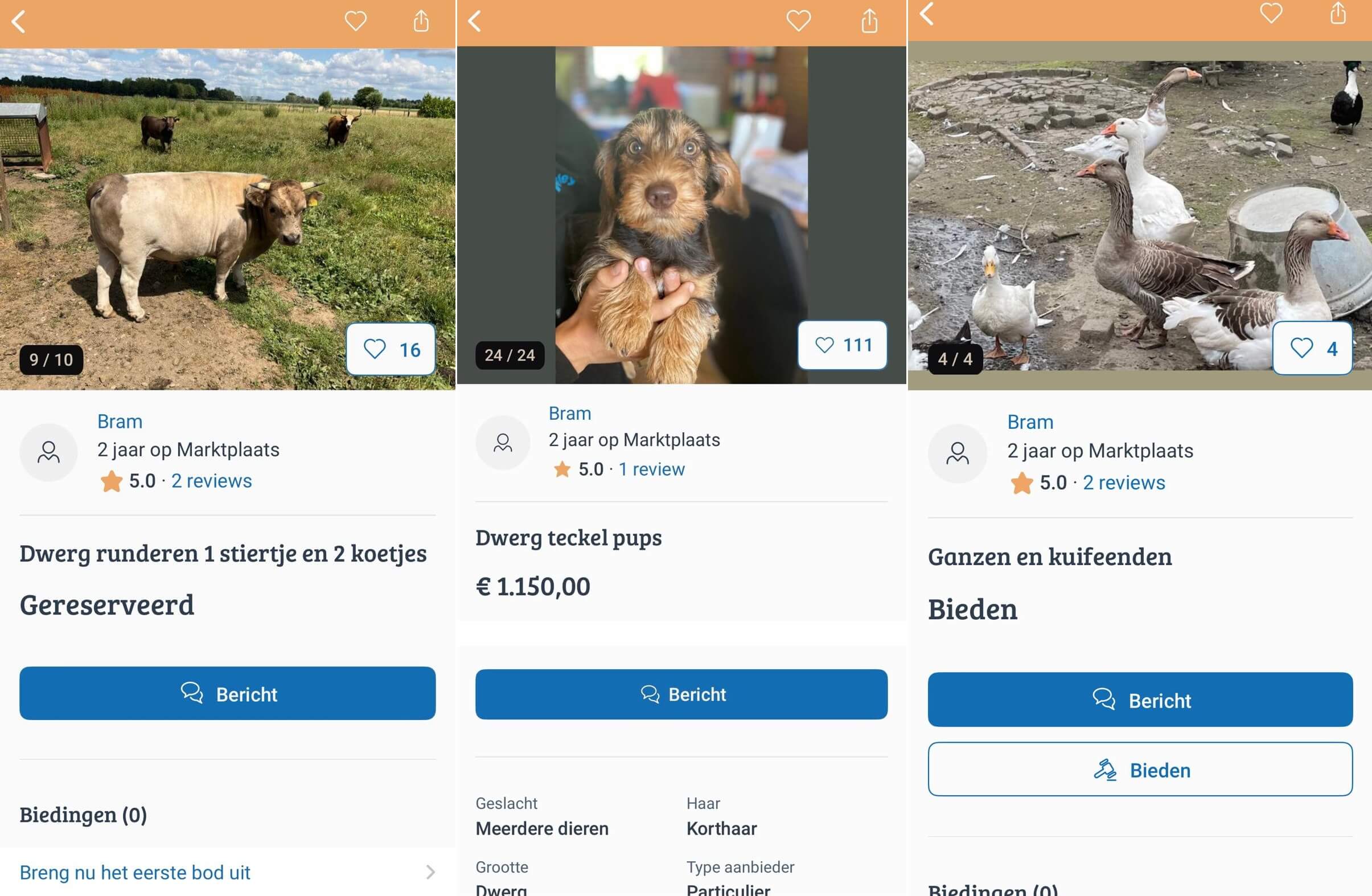 Opnieuw heeft Bert’s Animal Verhuur uitstel gekregen en handelt hij in dieren op Marktplaats