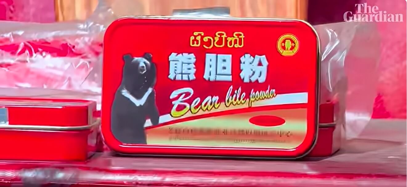 in Laos
