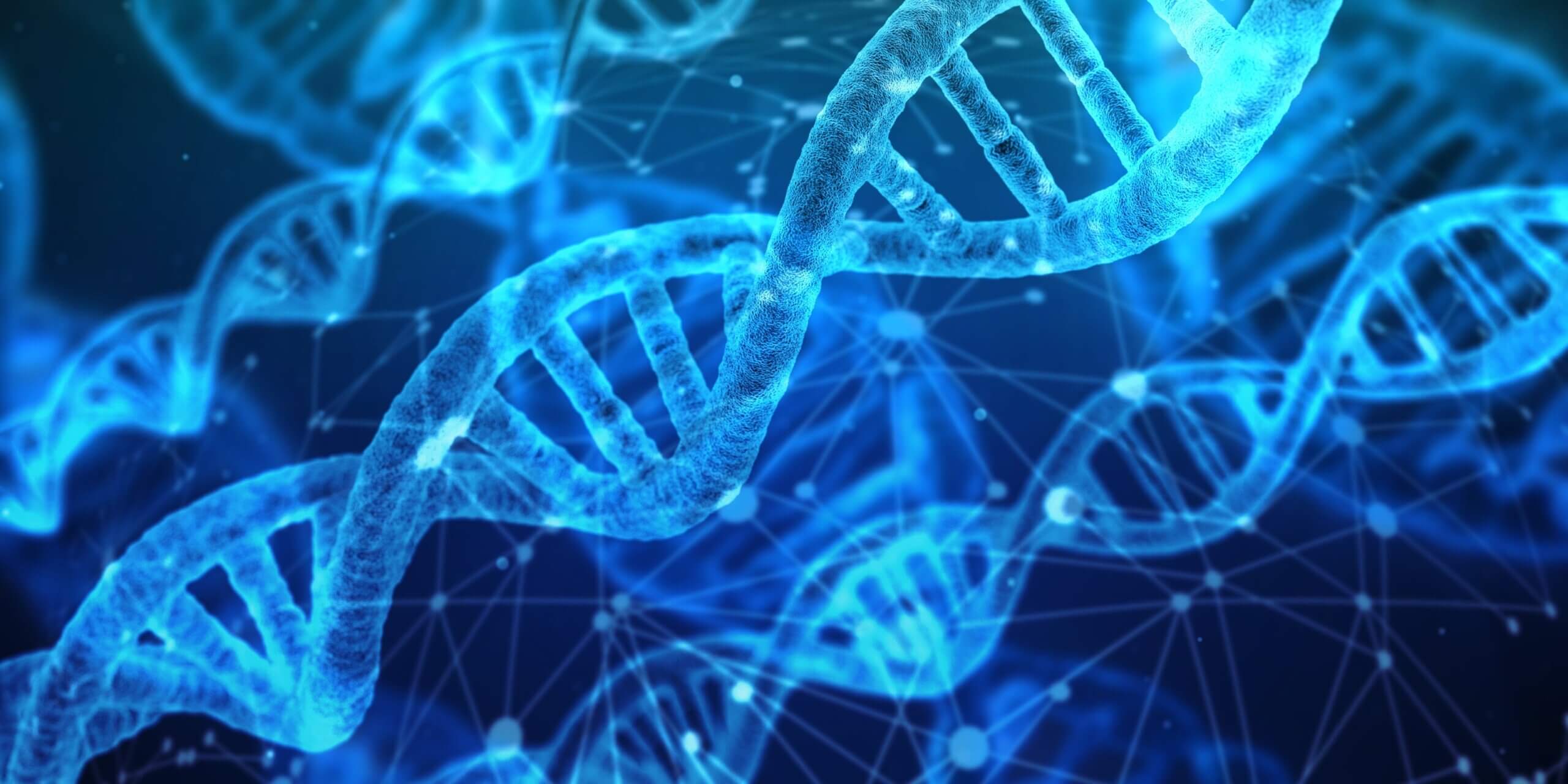 honden-DNA