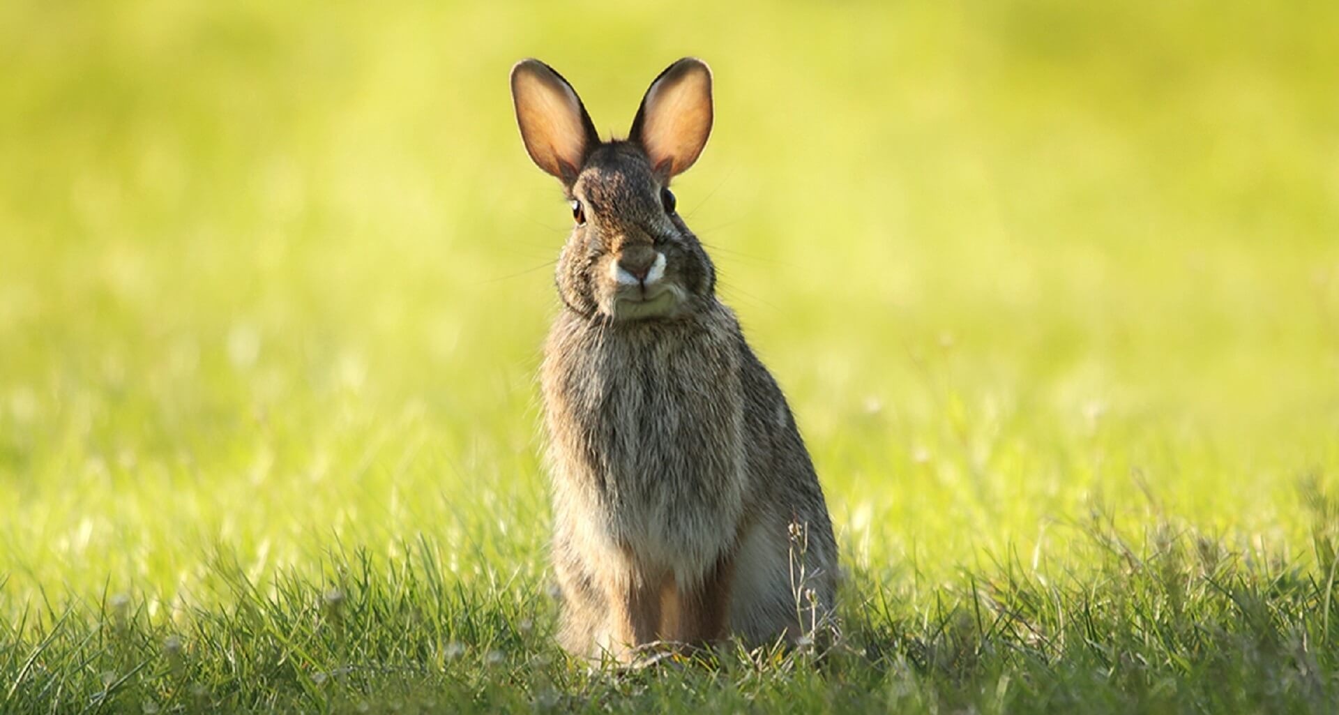 Wie wordt onze nieuwe schrijvende collega?
