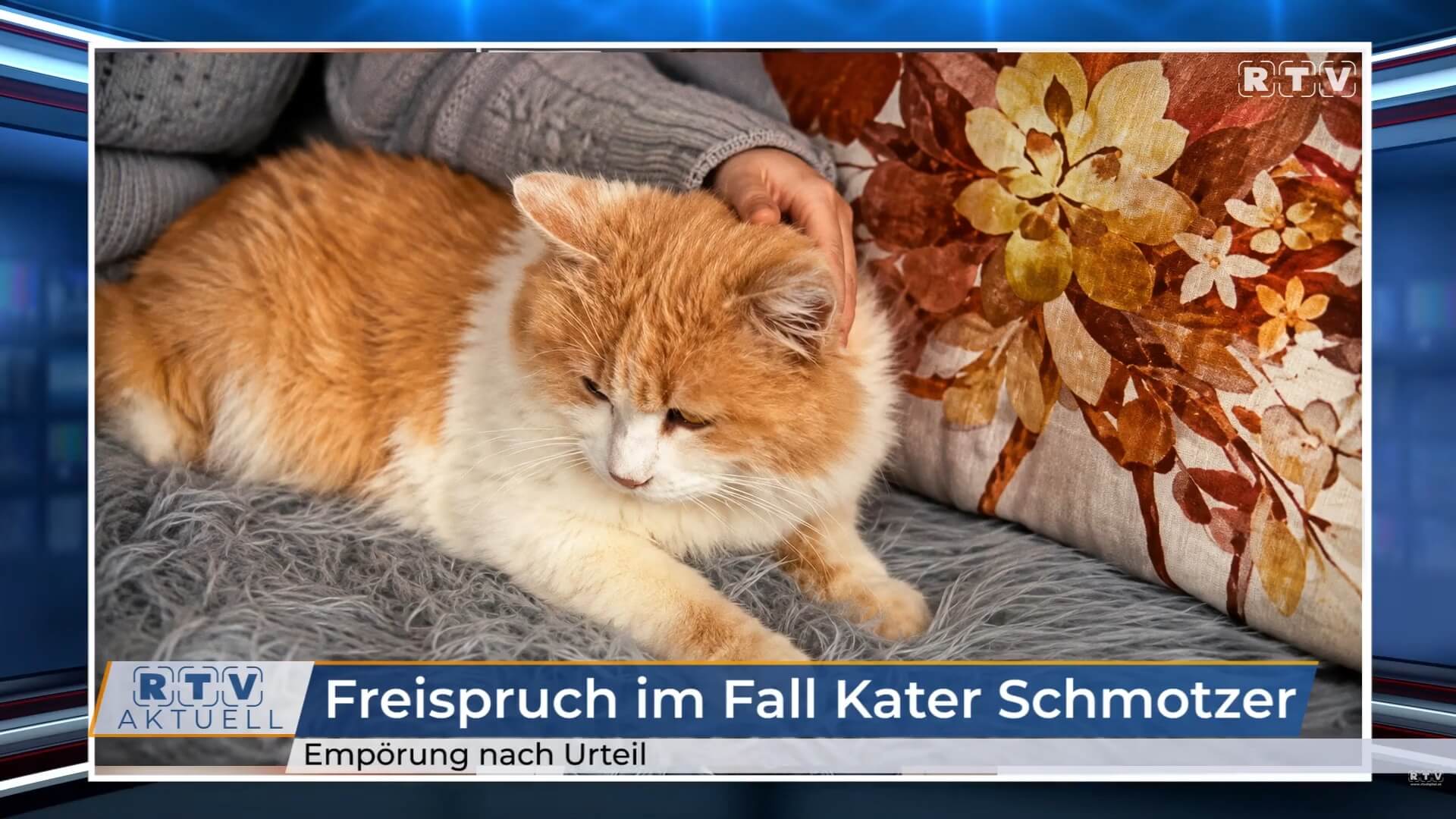Woede na vrijspraak van sadistische kattenmoordenaars in Tirol