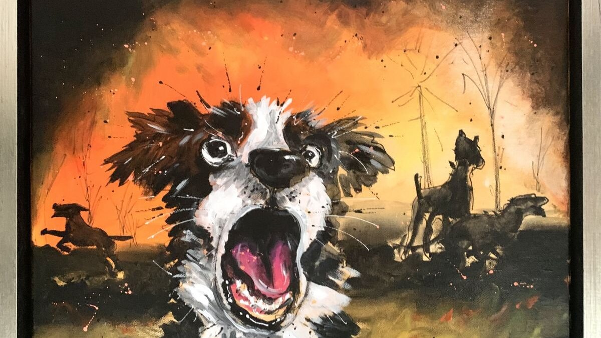 Kunstenaar komt in actie voor dieren getroffen door bosbranden
