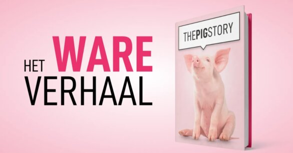 The Pig Story is grootste Liegebeest 2026