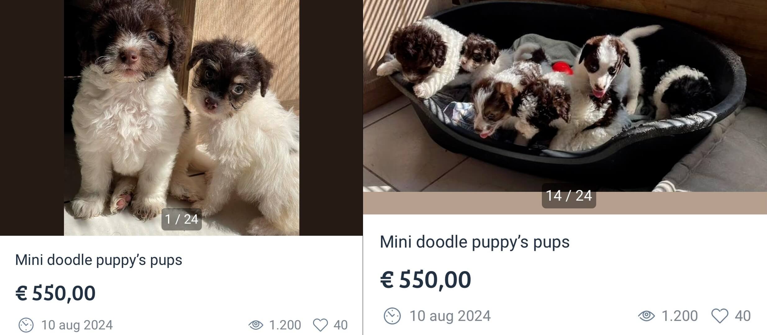Advertentie Bert op Marktplaats