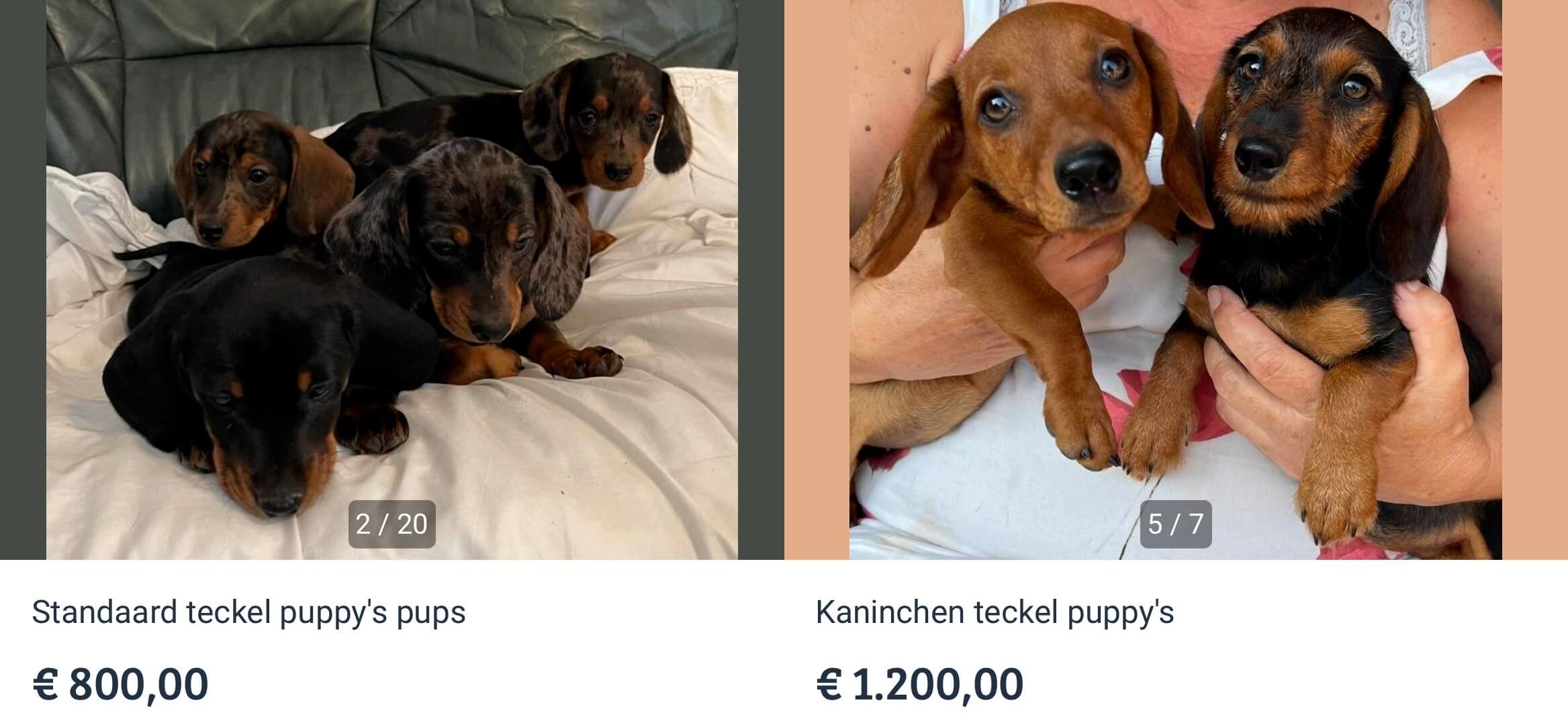 Schermfoto Marktplaats