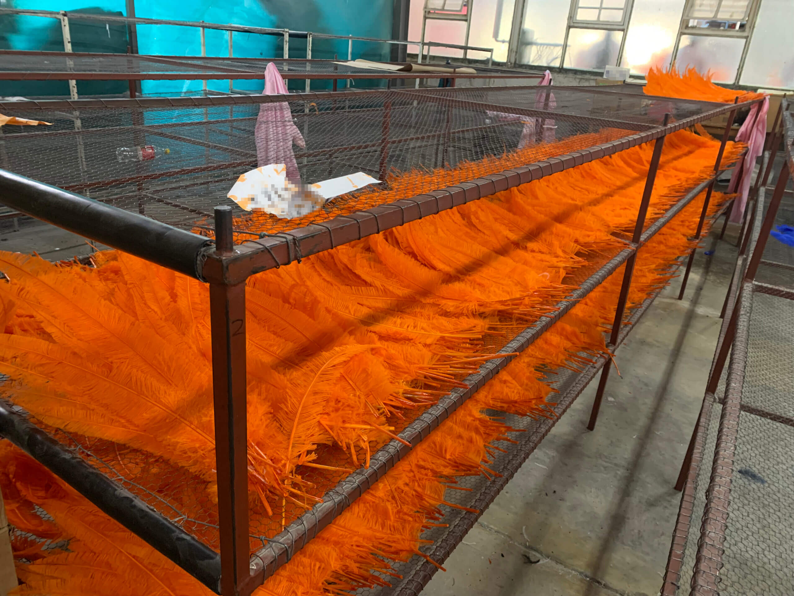 Waar zouden deze oranje struisvogelveren terechtkomen?