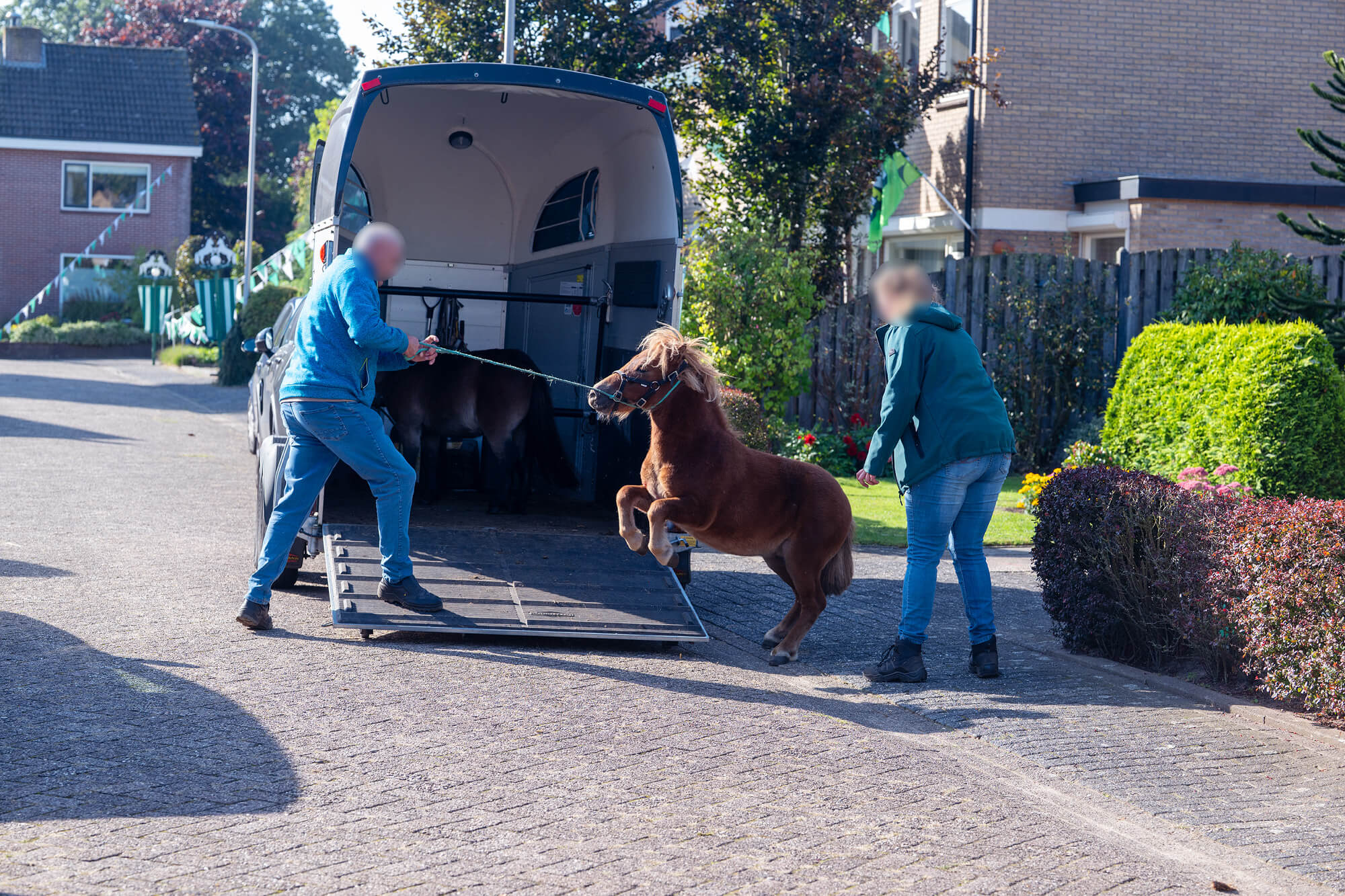 Zeer gestreste pony