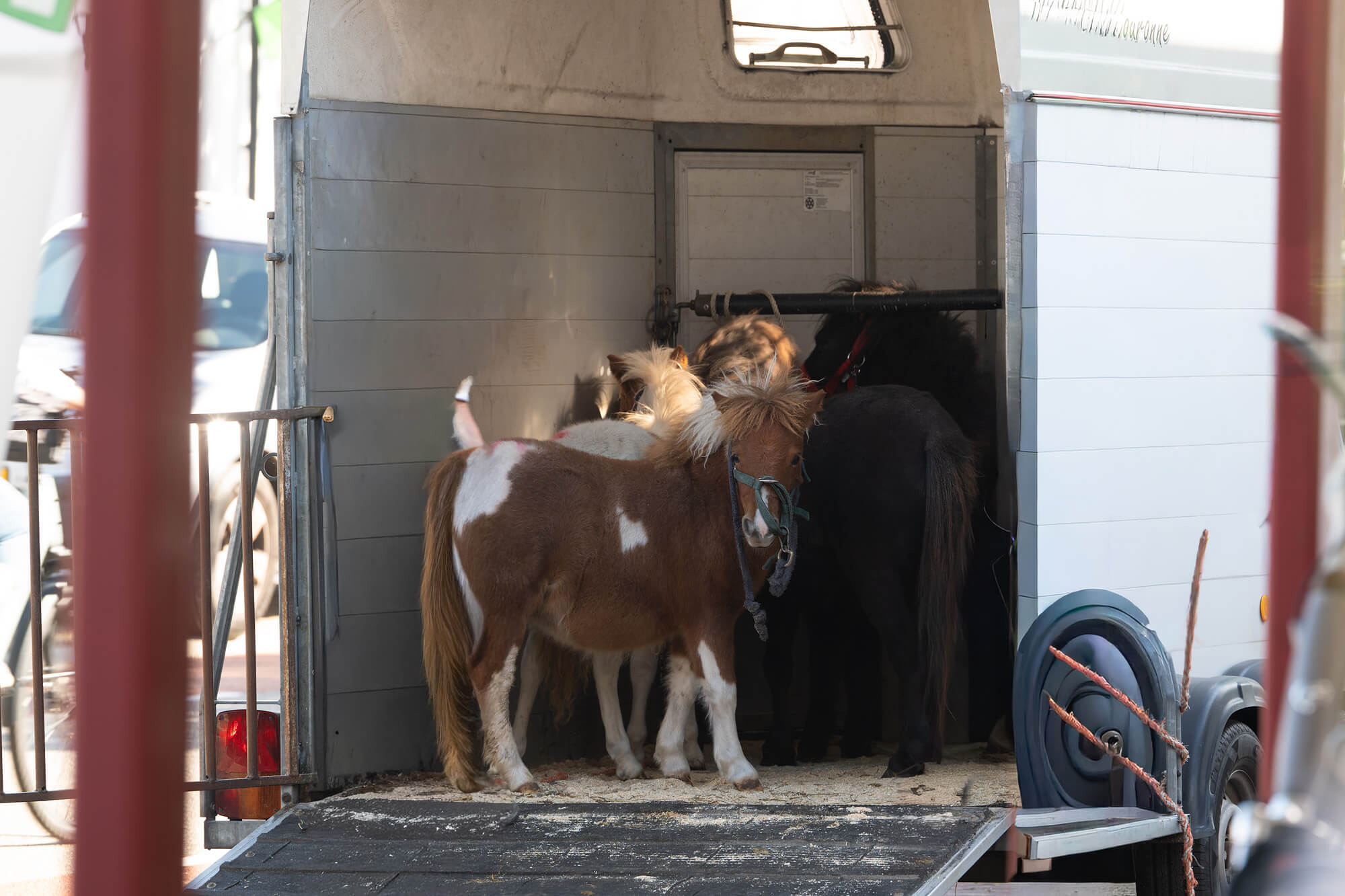 Pony-en paardenjaarmarkt Heeten