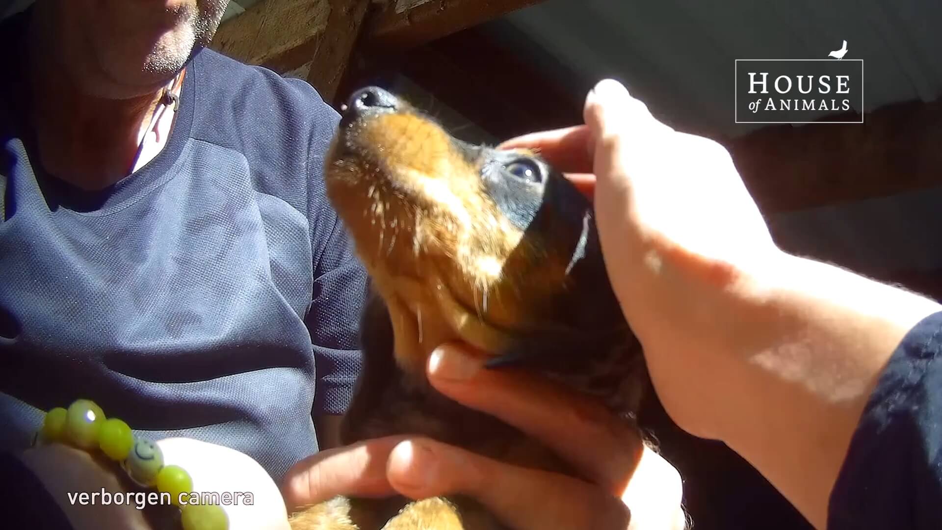 Bert’s hoger beroep zit het houdverbod in de weg