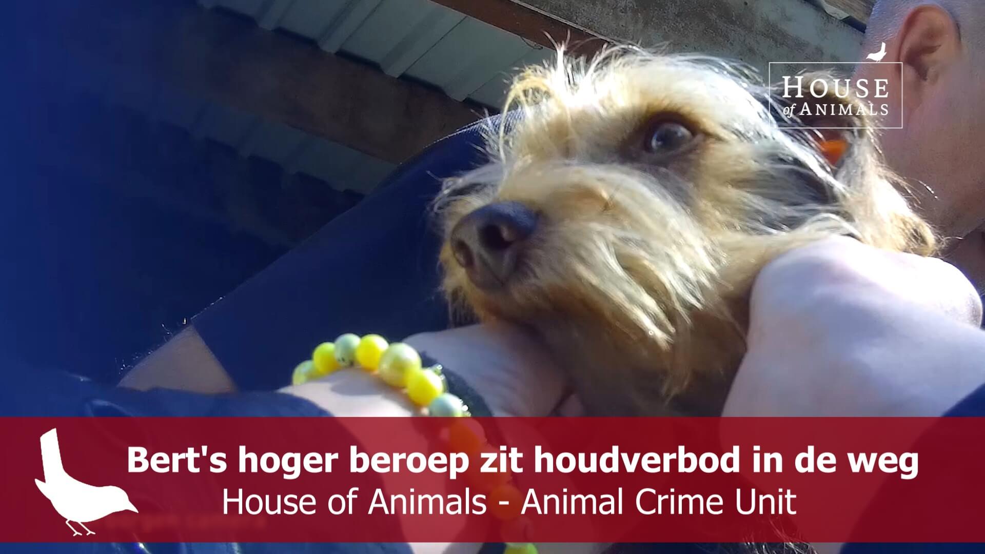 Karen’s blog: Bert’s hoger beroep zit houdverbod in de weg (video)