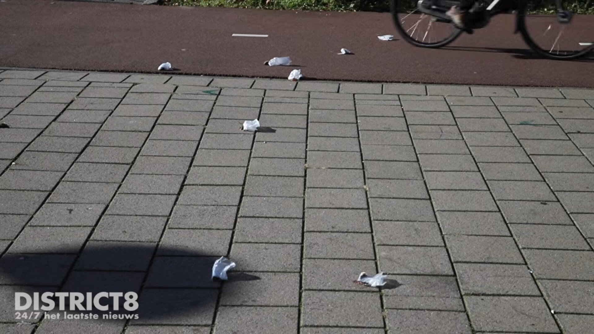 Wie in Den Haag liet muizen achter in plastic zakjes?