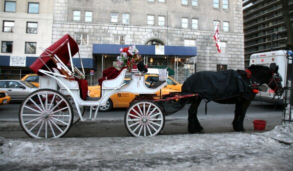 Stadsbestuur New York stemt in met verbod op paardenkoetsen