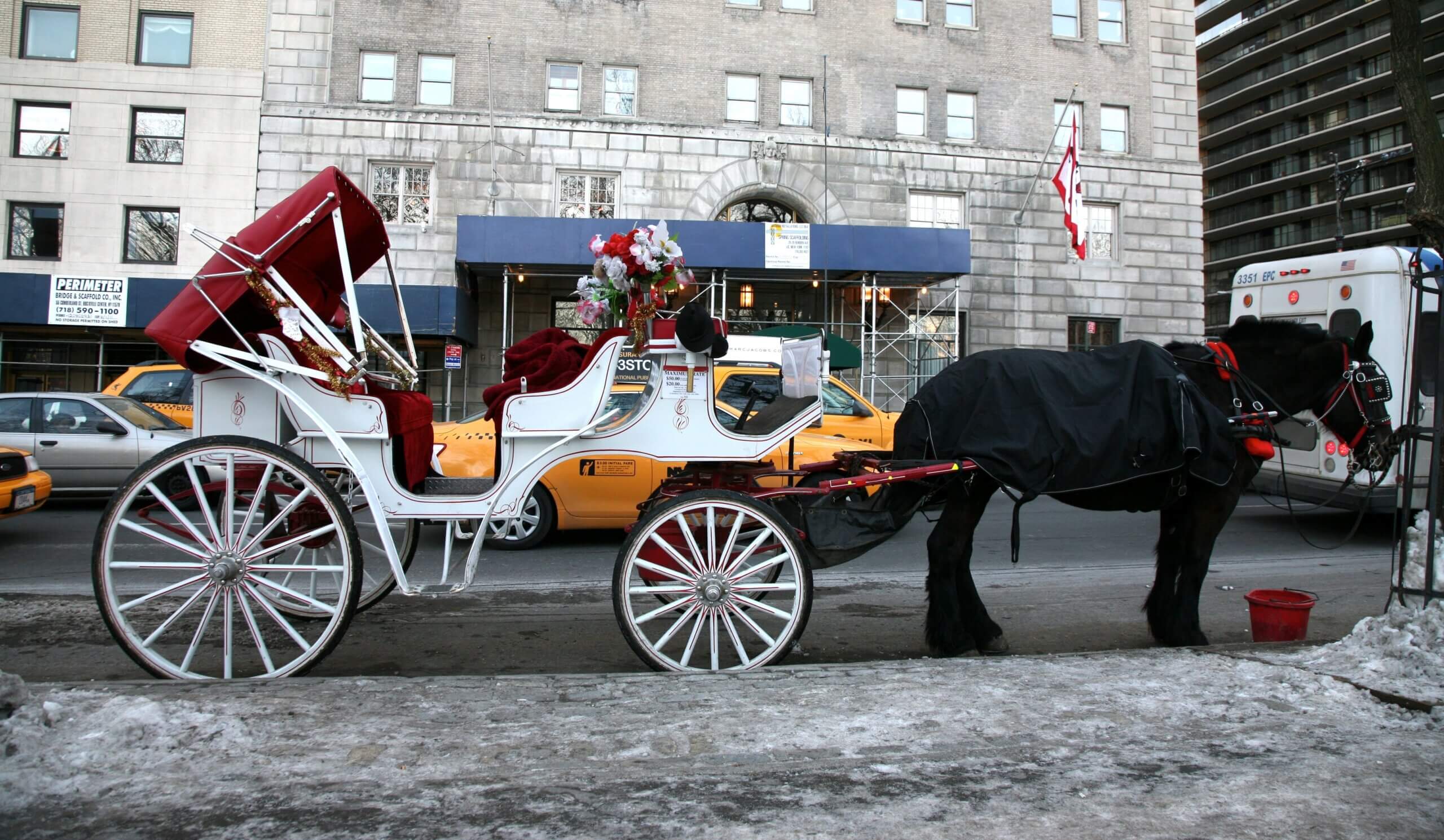 Stadsbestuur New York stemt in met verbod op paardenkoetsen