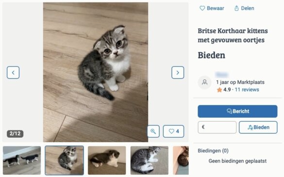 Verboden dieren zijn nog altijd te koop via Marktplaats
