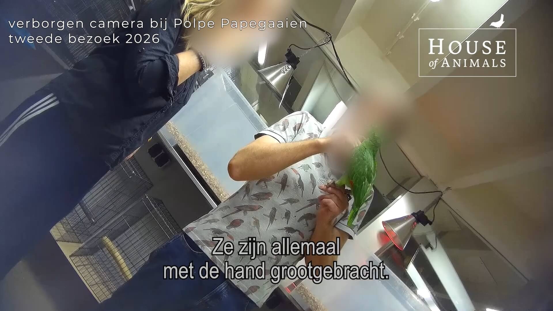 Nieuwe eigenaar papegaaienhandel, zelfde misstanden