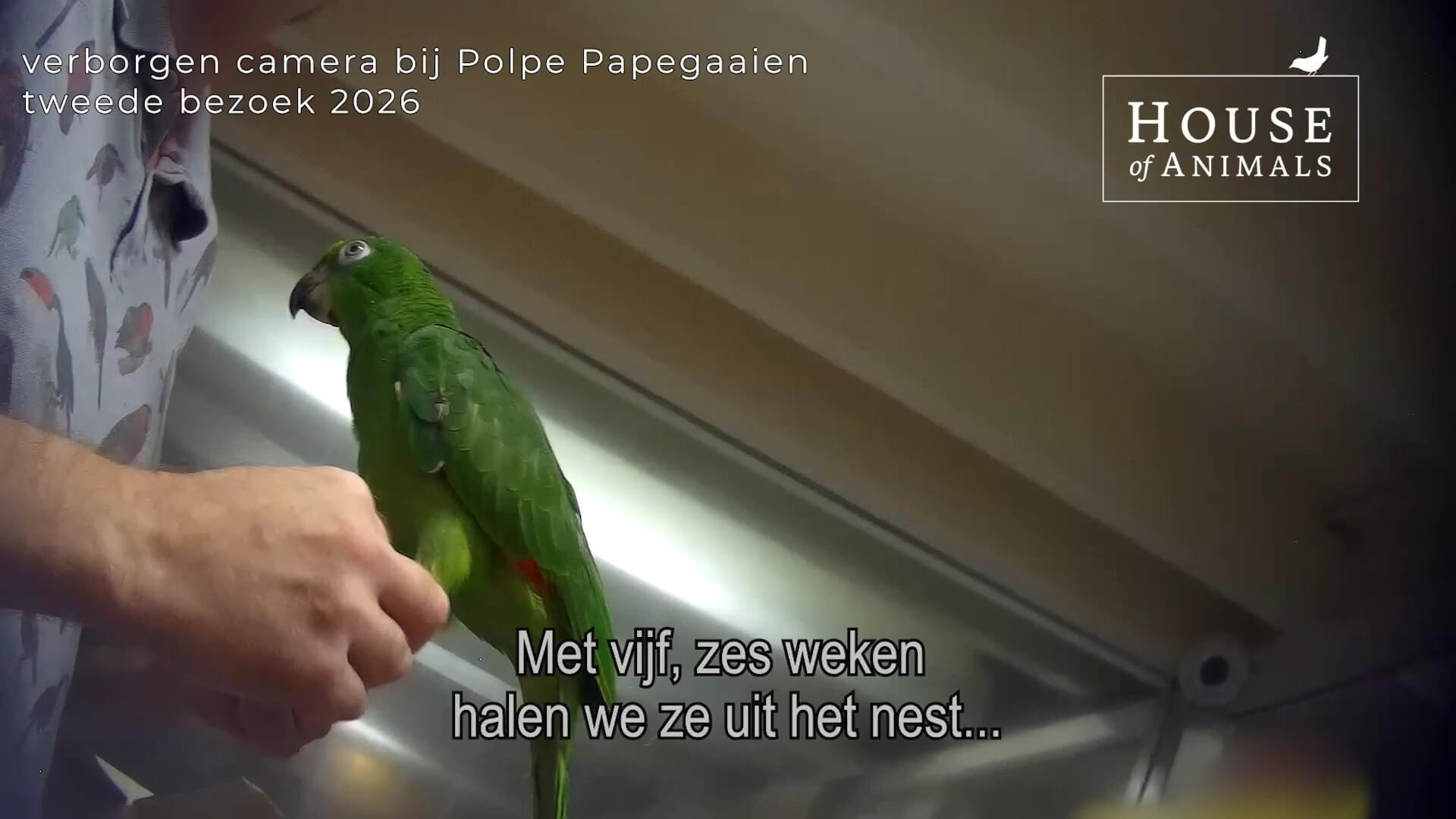 Nieuwe eigenaar papegaaienhandel, zelfde misstanden