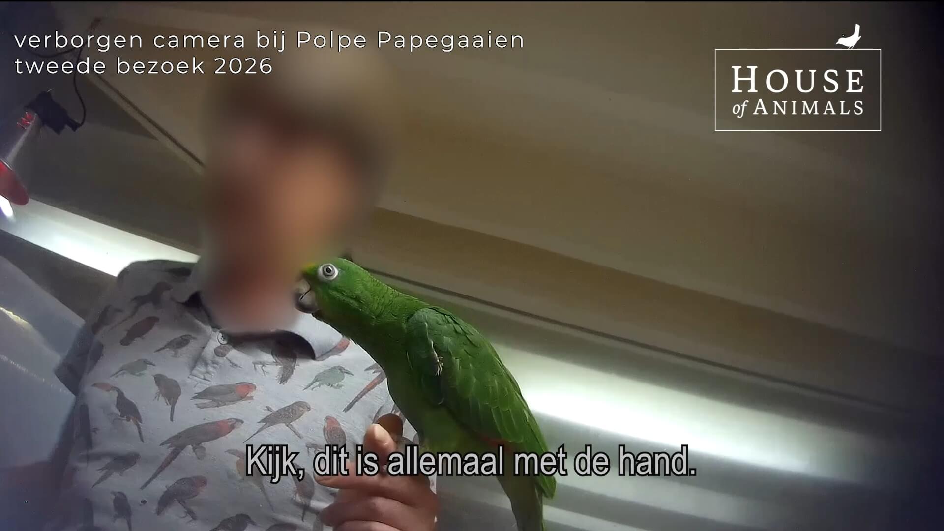 Nieuwe eigenaar papegaaienhandel, zelfde misstanden