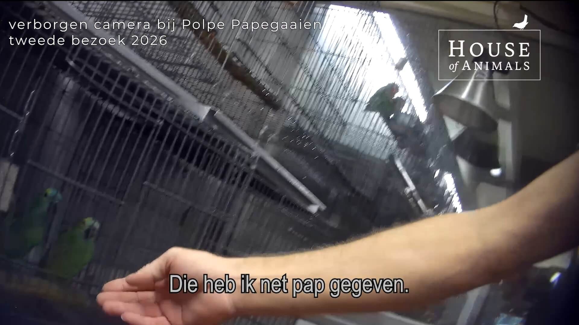 Nieuwe eigenaar papegaaienhandel, zelfde misstanden