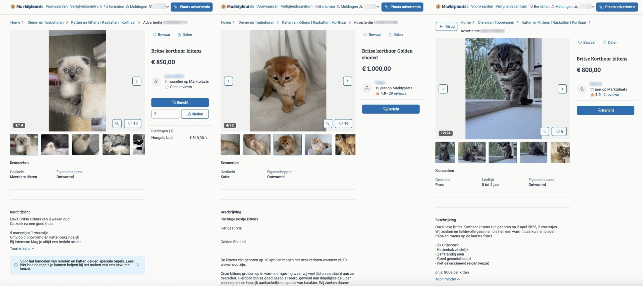 Verboden vouwoorkittens via Marktplaats
