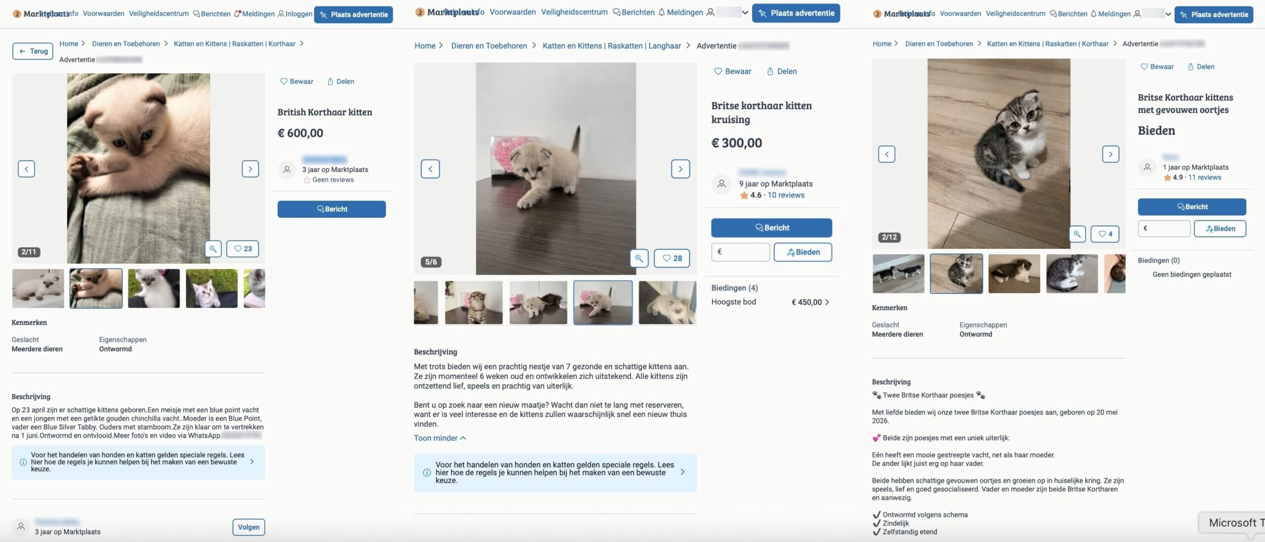 Verboden vouwoorkittens via Marktplaats
